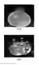 Fig. 08 - Continuous liquid interphase printing