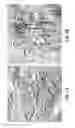 Fig. 08 - Embossed matte and glossy plastic film and methods of making same