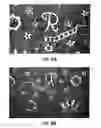Fig. 09 - Embossed matte and glossy plastic film and methods of making same