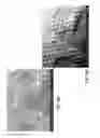 Fig. 12 - Embossed matte and glossy plastic film and methods of making same
