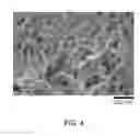 Fig. 05 - Joining via Slender Nanomaterials: Materials, Procedures and Applications Thereof