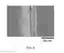Fig. 06 - Joining via Slender Nanomaterials: Materials, Procedures and Applications Thereof