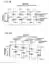Fig. 06 - Printing apparatus and printing method