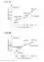Fig. 09 - Printing apparatus and printing method