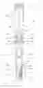 Fig. 01 - Electric generator for attachment to a shock absorber
