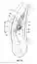 Fig. 22 - Lumbar support system