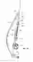 Fig. 27 - Lumbar support system