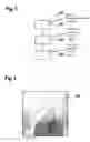 Fig. 03 - METHOD AND DEVICE FOR ADAPTING A BRIGHTNESS OF A HEADLIGHT FOR A VEHICLE
