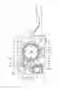 Fig. 01 - Seatbelt retractor
