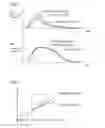 Fig. 07 - Traction control system and saddled vehicle