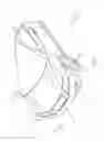 Fig. 02 - Vehicles having a dash panel reinforcement member