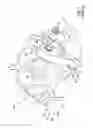 Fig. 02 - Drive arrangement for adjusting a component in a motor vehicle