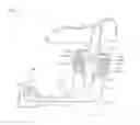 Fig. 14 - Apparatus for adjusting bicycle saddle angle in seated position while driving