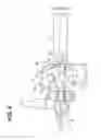 Fig. 05 - Handlebar-mounted switch device for a saddle-type vehicle, and vehicle including same