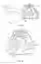 Fig. 29 - Bicycle control device