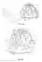 Fig. 30 - Bicycle control device