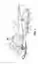 Fig. 02 - Continuously variable transmission mounting assembly