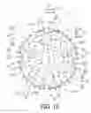 Fig. 16 - Bicycle sprocket and bicycle sprocket assembly