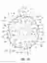 Fig. 19 - Bicycle sprocket and bicycle sprocket assembly