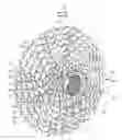 Fig. 01 - Bicycle sprocket and bicycle sprocket assembly