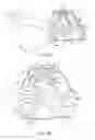 Fig. 29 - Bicycle control device