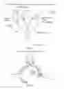 Fig. 11 - IN OR RELATING TO CRAWLERS