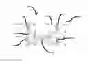 Fig. 01 - Controlling Rotary Wing Aircraft