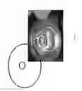 Fig. 07 - CAN COVER