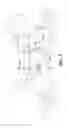 Fig. 07 - COLLAPSIBLE BEVERAGE CONTAINER