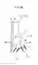 Fig. 10 - Article supply device for supplying articles according to type