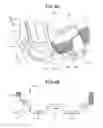 Fig. 05 - Paper sheet handling apparatus