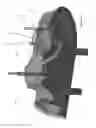 Fig. 06 - FLUID DISPENSER