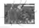 Fig. 01 - Boron-nitride powder and resin composition containing same