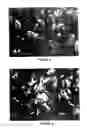 Fig. 09 - Potatolike shaped graphite particles with low impurity rate at the surface, process for preparing same