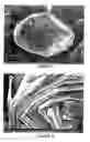 Fig. 11 - Potatolike shaped graphite particles with low impurity rate at the surface, process for preparing same