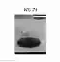 Fig. 03 - Graphene quantum dot and preparing method of the same