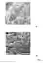 Fig. 04 - Methods of producing graphene quantum dots from coal and coke