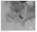 Fig. 01 - Producing graphene and nanoporous graphene