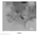 Fig. 06 - Producing graphene and nanoporous graphene