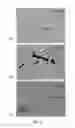 Fig. 03 - High strength transparent ceramic using corundum powder and methods of manufacture