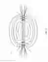 Fig. 14 - Apparatus for creating a vortex system that intensifies the multiple vibrational magnetic high frequency fields