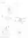 Fig. 05 - In-Fiber Particle Generation