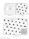Fig. 09 - In-Fiber Particle Generation