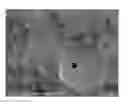 Fig. 01 - Gypsum wallboard and method of making same