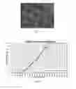 Fig. 03 - Gypsum wallboard and method of making same
