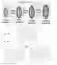 Fig. 03 - Geopolymer with nanoparticle retardant and method