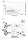 Fig. 04 - Method of manufacturing barium titanate and electronic component of barium titanate