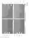Fig. 10 - Heat treated ceramic substrate having ceramic coating