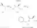 Fig. 22 - Process for the preparation of lacosamide and its novel intermediate