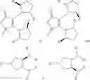 Fig. 131 - Intermediates for producing NEP inhibitors or prodrugs thereof